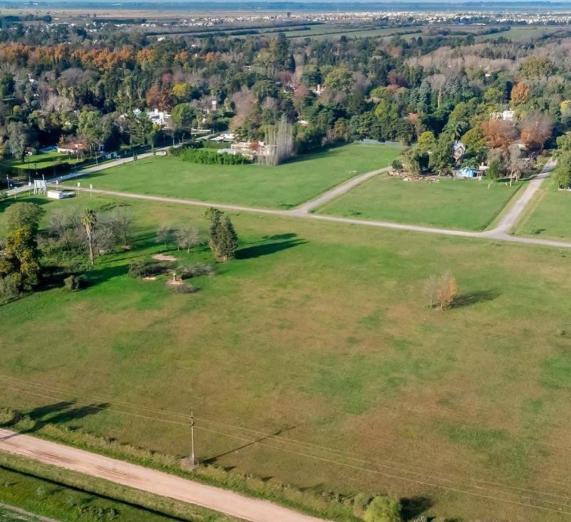 Cotos de La Alameda 2