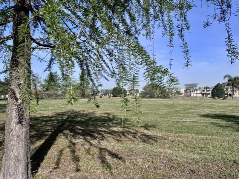 Puerto Roldán – Lote 93