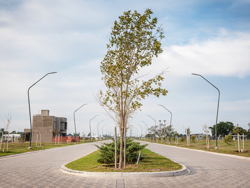 0004_Galeria_de_imagenes_z5 (1)