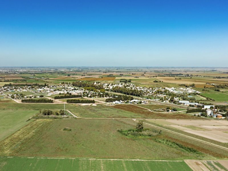 0009_Galeria_de_imagenes_B