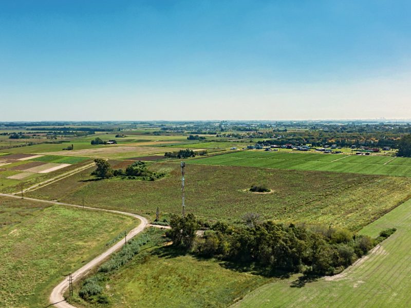 0010_Galeria_de_imagenes_C