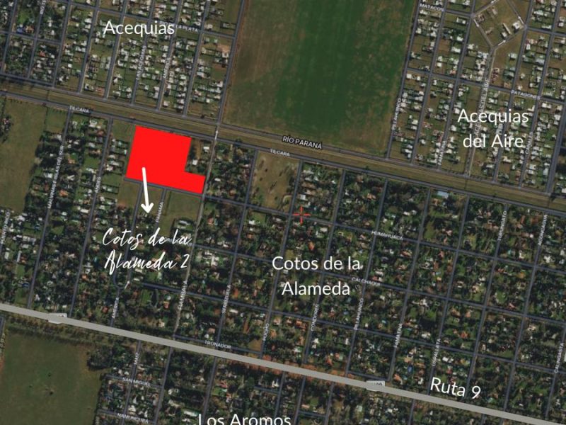 103638328300178589951499208937991938206010002925702924368071788552548286055668