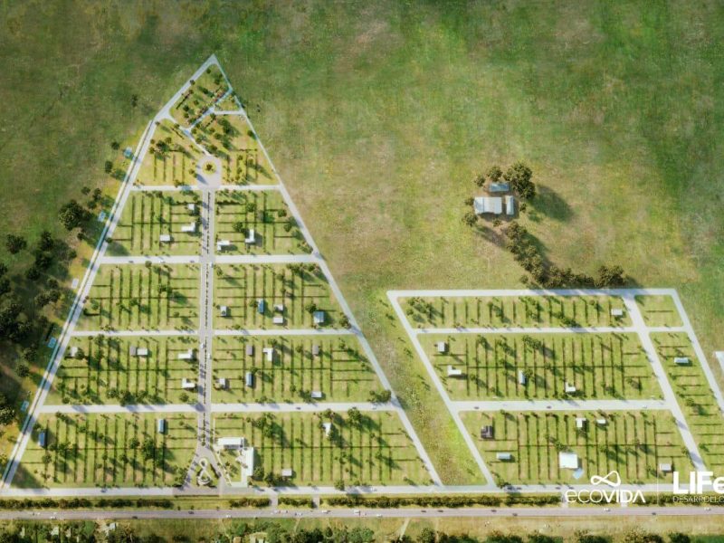 49713579001641975481203121995772948223614634505822418850401959696437667356591