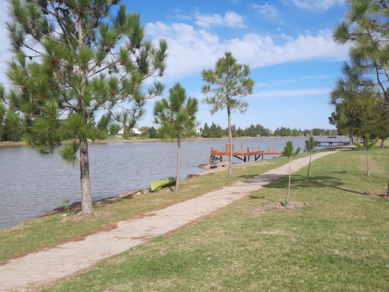 49862115-da6e-4e26-a16e-599b8350a459