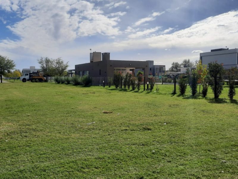 4d6eaf06-e5ce-4d81-980a-04f2f488c412