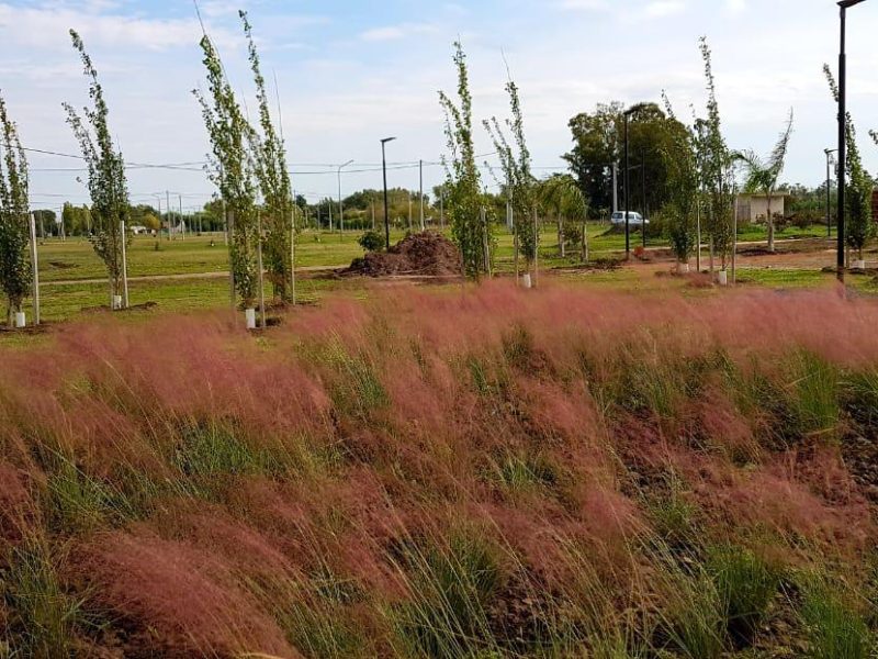 55526908623140856585952441380438583985328449938850069652485890703852962707933