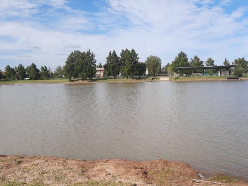 5ae2fc5f-63ef-4050-8ec3-c658ba337131