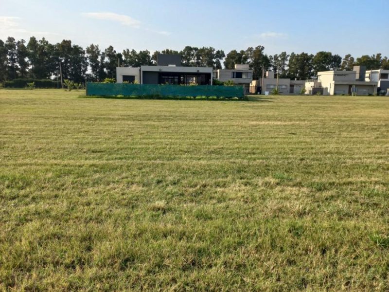 68305236732317055004574499521322675939423732730248968432470671292056274668402