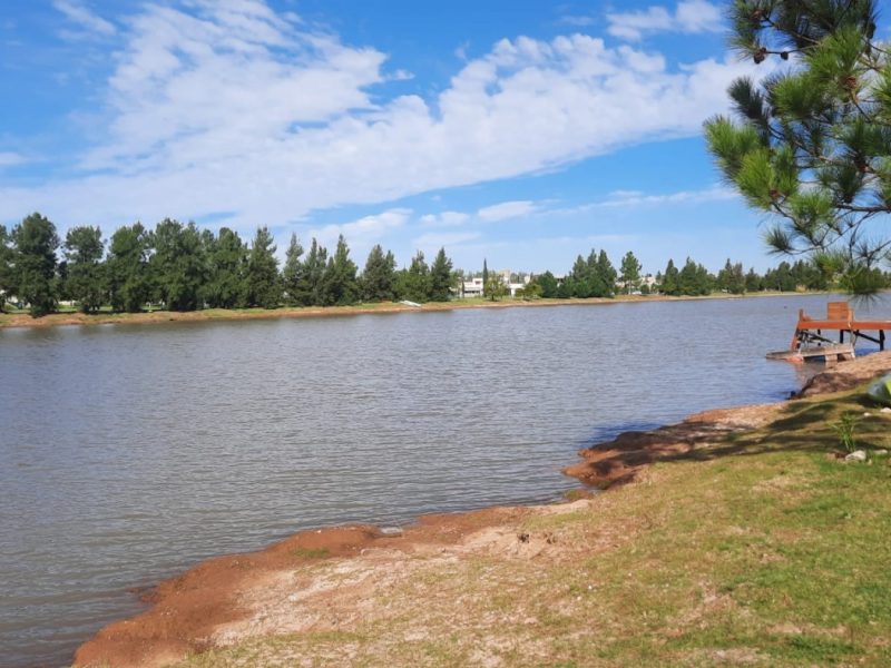 7e8a1da8-8086-4e05-9bab-9ec303ddcf6a