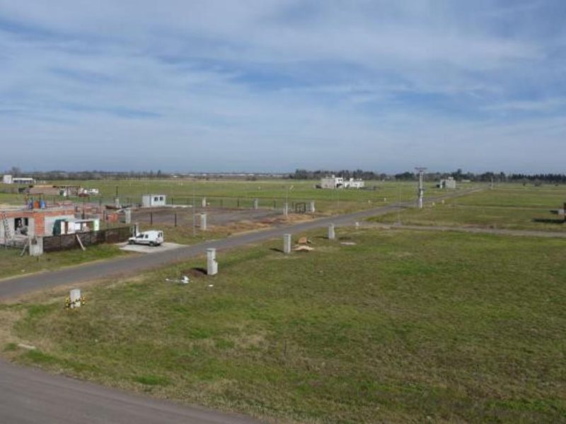 7ff81e4a-a16a-40d4-8a3a-6e1955b033ce_u_medium