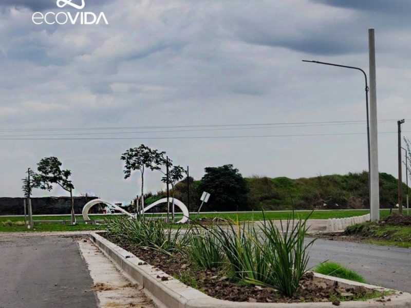 90662746195229313469665947946995978912937019079916563334657311350649424568522