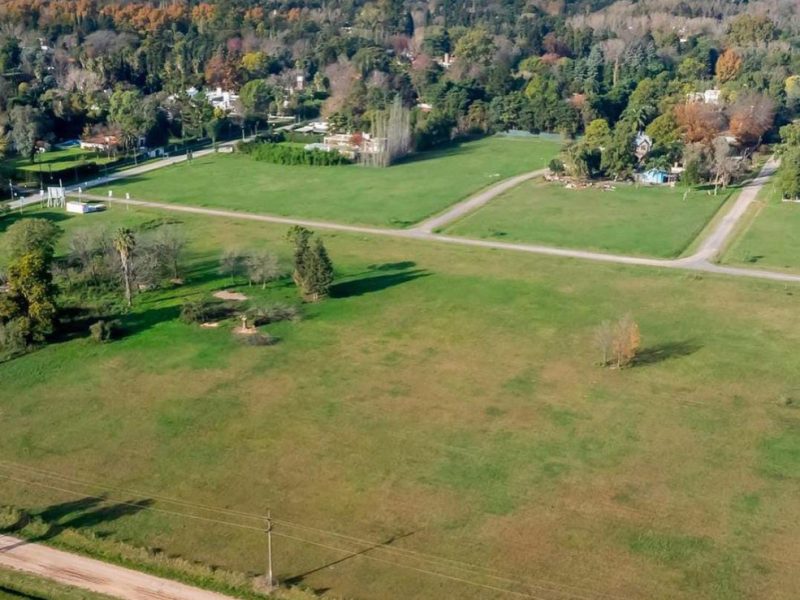 Imagen de WhatsApp 2023-07-03 a las 10.33.52