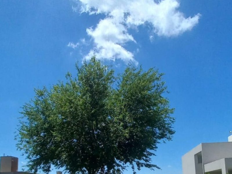 Imagen de WhatsApp 2024-01-04 a las 12.49.12_623d26c1