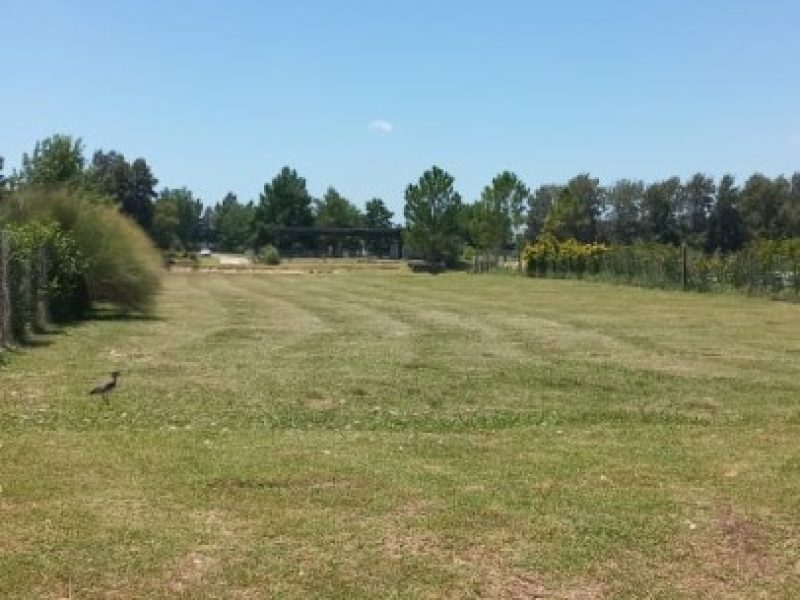 Imagen de WhatsApp 2024-01-04 a las 12.49.13_e6bc8d99