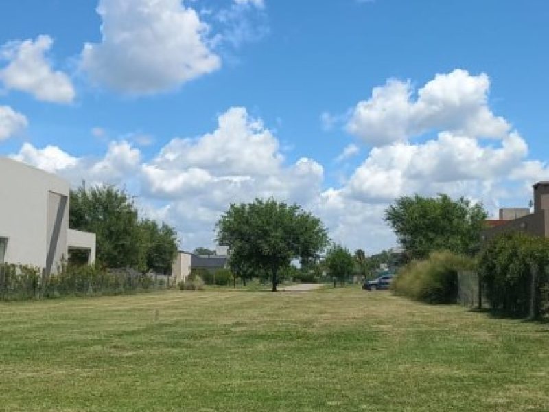 Imagen de WhatsApp 2024-01-04 a las 12.49.14_f68deca4