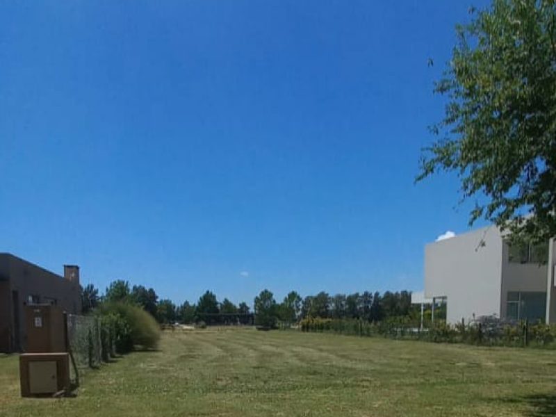 Imagen de WhatsApp 2024-01-04 a las 15.37.34_7dd30b6e