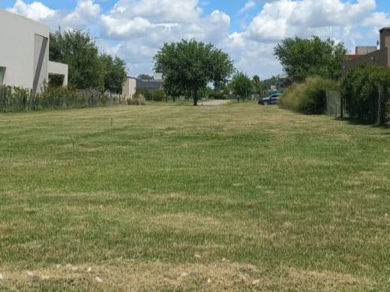 Imagen de WhatsApp 2024-01-04 a las 15.37.34_afa210f6