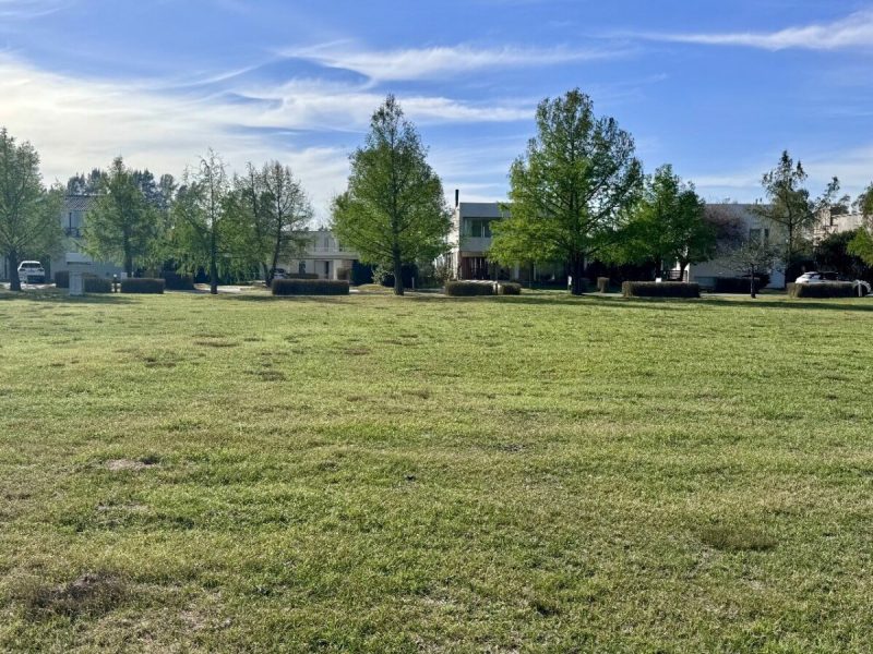 Imagen de WhatsApp 2024-09-12 a las 11.49.55_37f97934