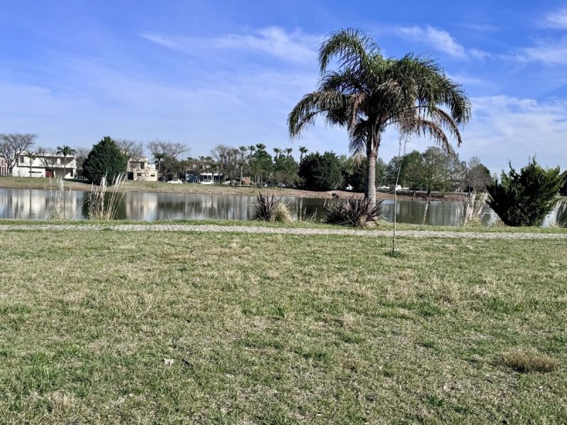 Imagen de WhatsApp 2024-09-12 a las 11.50.02_28fab42d