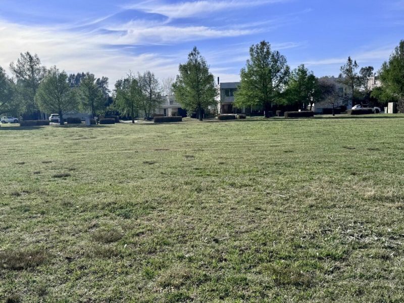 Imagen de WhatsApp 2024-09-12 a las 11.50.03_56d20609