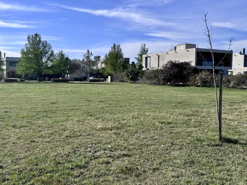 Imagen de WhatsApp 2024-09-12 a las 11.50.03_5dd99057