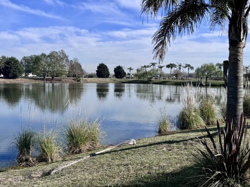 Imagen de WhatsApp 2024-09-12 a las 11.50.03_8670c40a