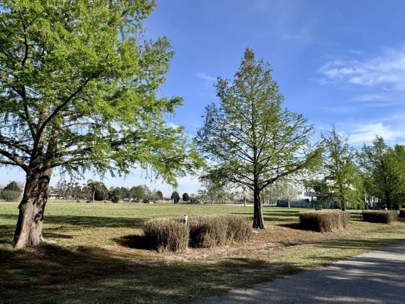 Imagen de WhatsApp 2024-09-12 a las 11.50.04_087c21eb