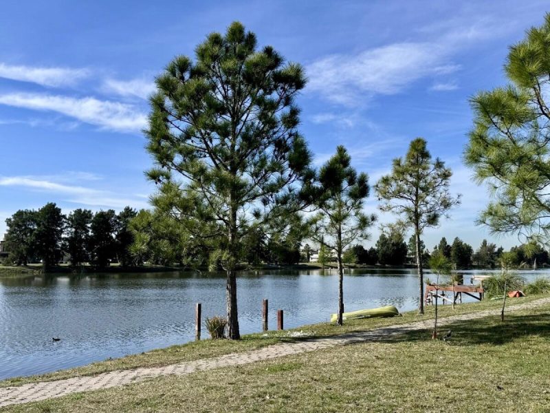 Imagen de WhatsApp 2024-09-12 a las 11.54.58_fb03c615