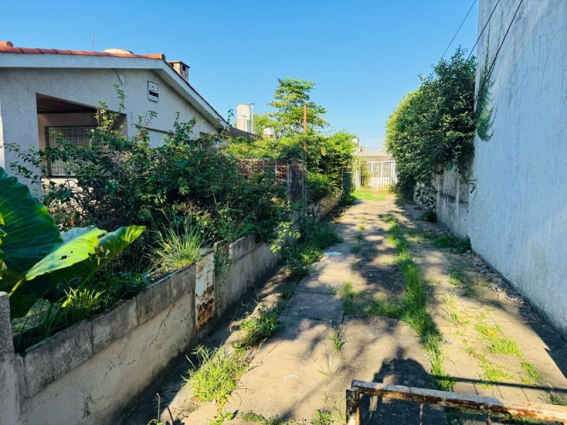 Imagen de WhatsApp 2025-03-07 a las 09.07.58_b89cea9d