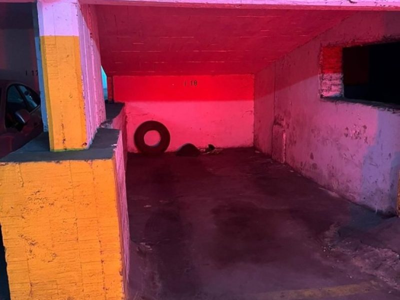 Imagen de WhatsApp 2025-04-25 a las 15.36.16_aad3208f