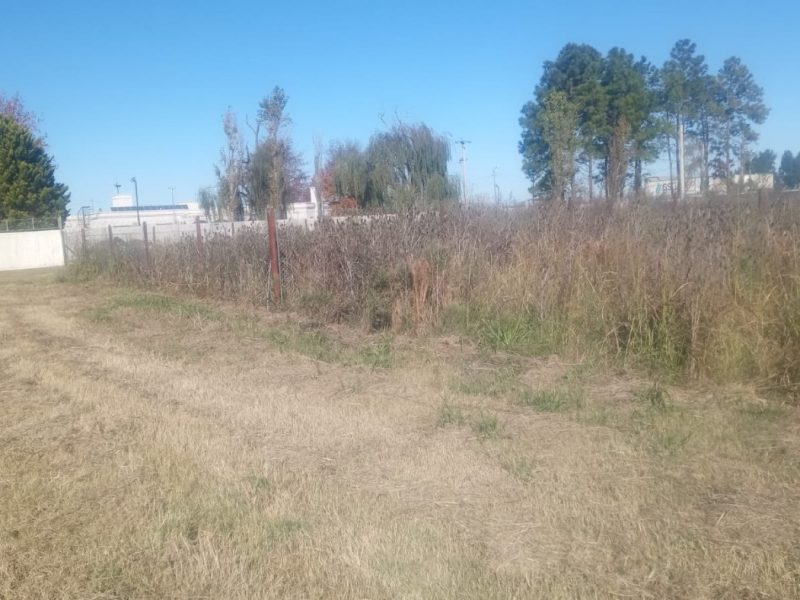 Imagen de WhatsApp 2025-06-06 a las 17.56.02_682f7ea3