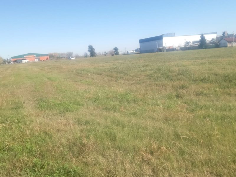 Imagen de WhatsApp 2025-06-06 a las 17.57.01_86e45769