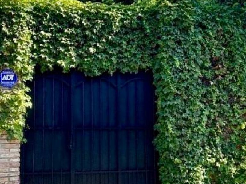 Imagen de WhatsApp 2025-09-03 a las 15.25.17_57a5b8e0