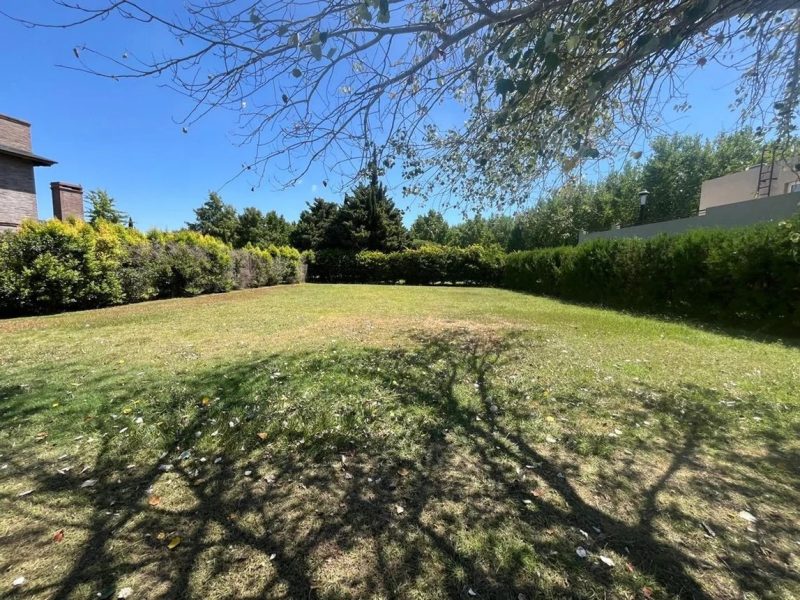 Imagen de WhatsApp 2025-09-18 a las 14.50.25_3ce741ec