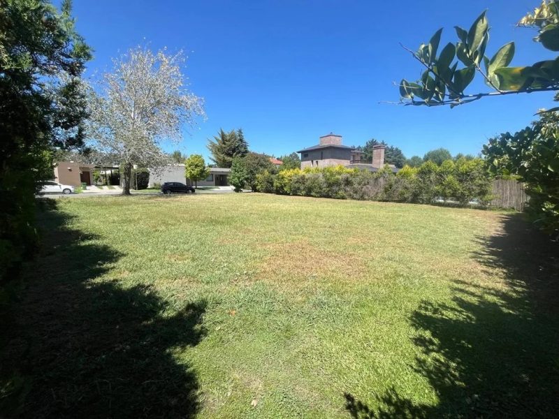 Imagen de WhatsApp 2025-09-18 a las 14.51.00_e0481f7a