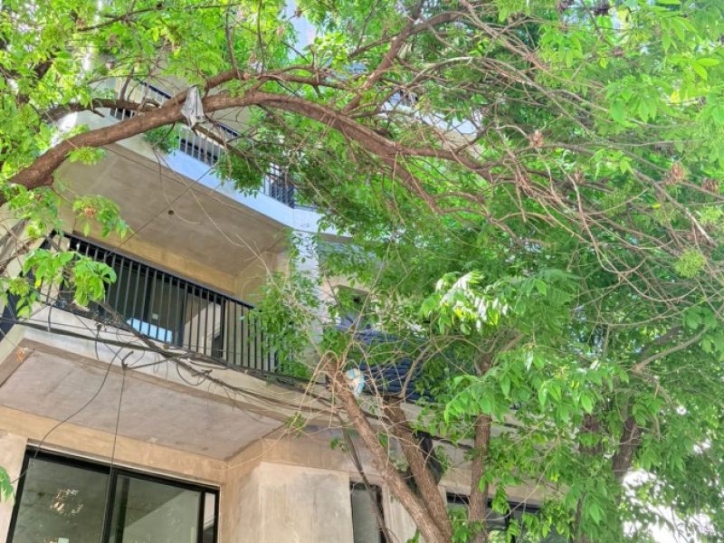 Imagen de WhatsApp 2025-10-16 a las 10.45.13_22baabe6