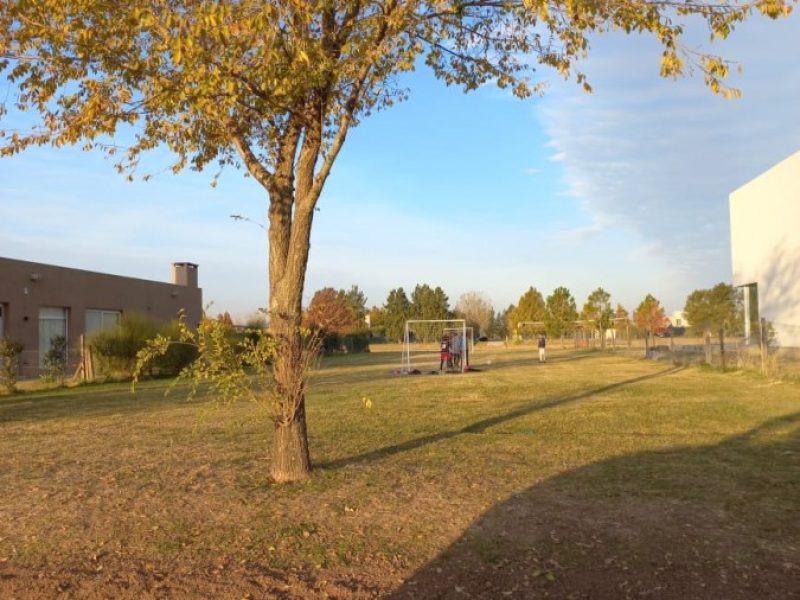 a0562ef1-d2a7-4b84-a11f-38e340b957dd