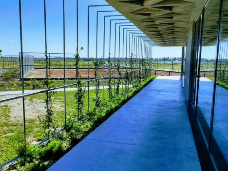 whatsapp-image-2021-12-20-at-6-53-10-pm